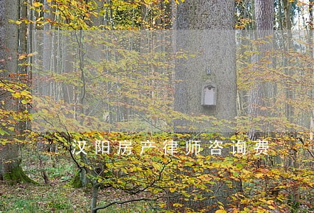 汉阳房产律师咨询费