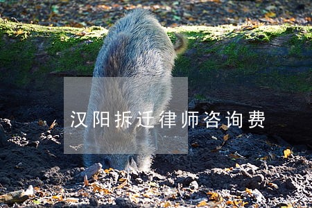 汉阳拆迁律师咨询费 汉阳拆迁律师咨询费
