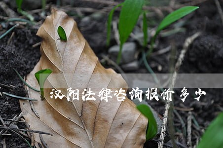 汉阳法律咨询报价多少 汉阳法律咨询报价多少