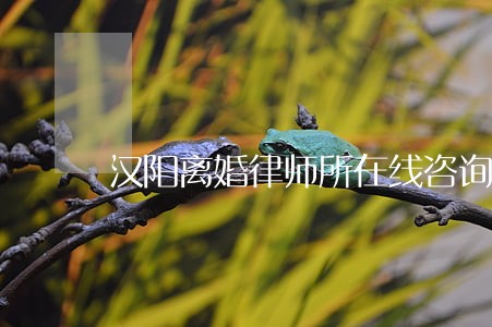 汉阳离婚律师所在线咨询 汉阳离婚律师所在线咨询