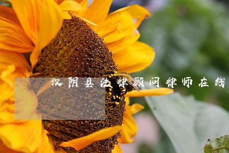 汉阴县法律顾问律师在线免费咨询