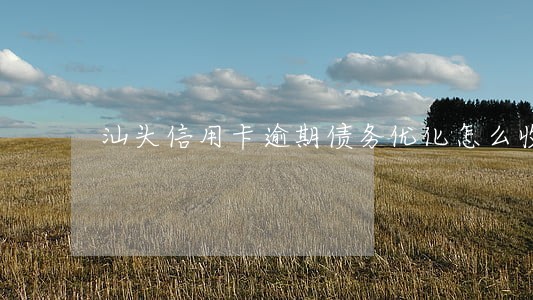 汕头信用卡逾期债务优化怎么收费