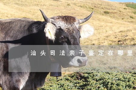 汕头司法亲子鉴定在哪里 汕头司法亲子鉴定在哪里