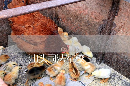 汕头司法军校 汕头司法军校
