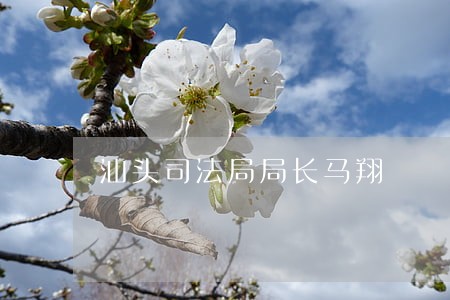 汕头司法局局长马翔 汕头司法局局长马翔