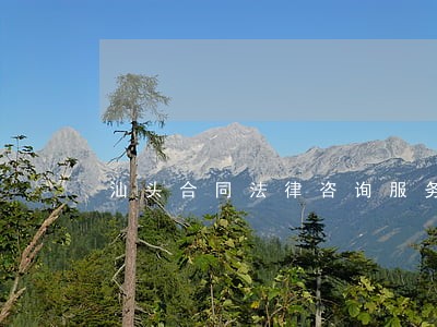 汕头合同法律咨询服务 汕头合同法律咨询服务
