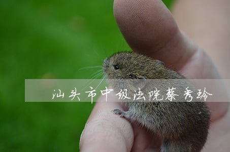 汕头市中级法院蔡秀玲 汕头市中级法院蔡秀玲