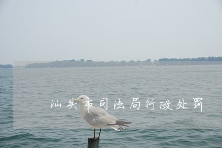 汕头市司法局行政处罚 汕头市司法局行政处罚