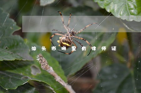汕头市哪里有律师证 汕头市哪里有律师证