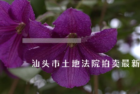 汕头市土地法院拍卖最新公告 汕头市土地法院拍卖最新公告