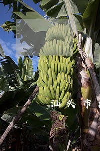 汕头市法院地址在哪里