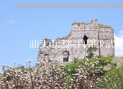 汕头市法院真郭少武 汕头市法院真郭少武