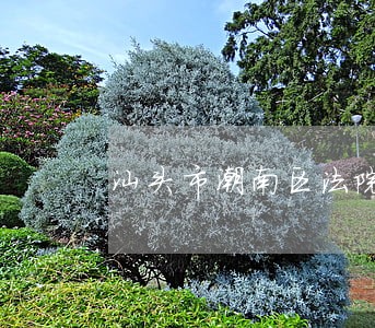 汕头市潮南区法院黄松青