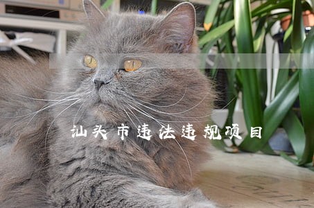 汕头市违法违规项目 汕头市违法违规项目
