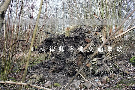 汕头律师咨询交通事故