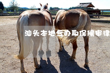 汕头本地专办取保候审律师