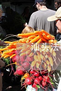 汕头法律咨询免费小程序 汕头法律咨询免费小程序