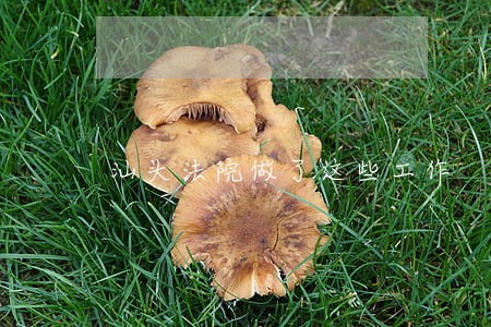 汕头法院做了这些工作 汕头法院做了这些工作