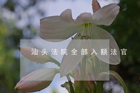 汕头法院全部入额法官 汕头法院全部入额法官