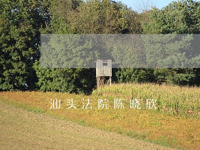 汕头法院陈晓欣 汕头法院陈晓欣