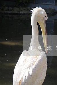 汕头离婚律师事务所 汕头离婚律师事务所
