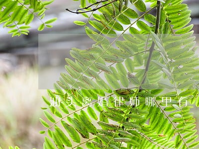 汕头离婚律师哪里有 汕头离婚律师哪里有