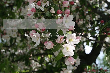 汕头空运合同纠纷律师 汕头空运合同纠纷律师