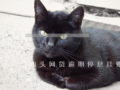 汕头网贷逾期停息挂账申请条件
