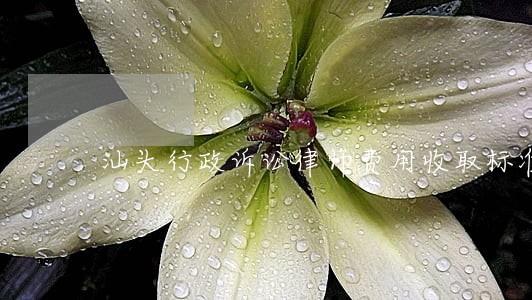 汕头行政诉讼律师费用收取标准 汕头行政诉讼律师费用收取标准