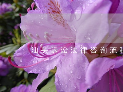 汕头诉讼法律咨询流程 汕头诉讼法律咨询流程