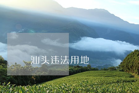 汕头违法用地 汕头违法用地