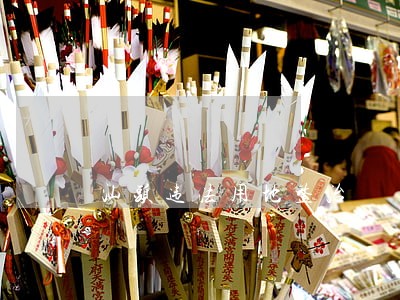 汕头违法用地整治 汕头违法用地整治