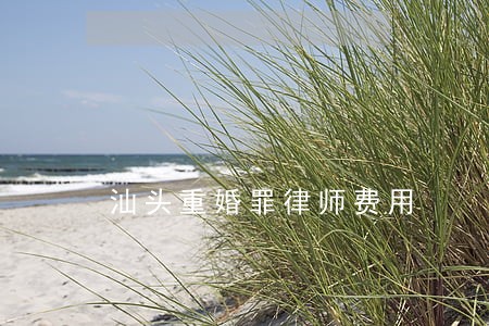 汕头重婚罪律师费用 汕头重婚罪律师费用