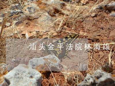 汕头金平法院林海雄 汕头金平法院林海雄