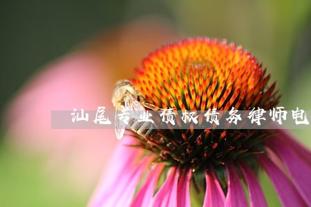 汕尾专业债权债务律师电话咨询 汕尾专业债权债务律师电话咨询