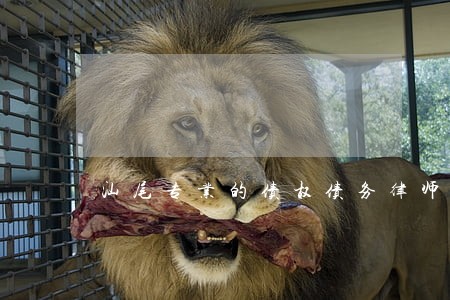 汕尾专业的债权债务律师 汕尾专业的债权债务律师