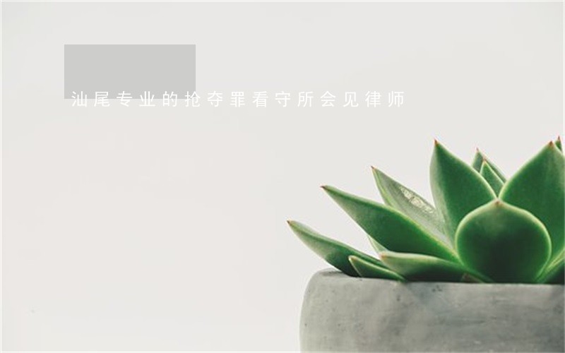 汕尾专业的抢夺罪看守所会见律师 汕尾专业的抢夺罪看守所会见律师