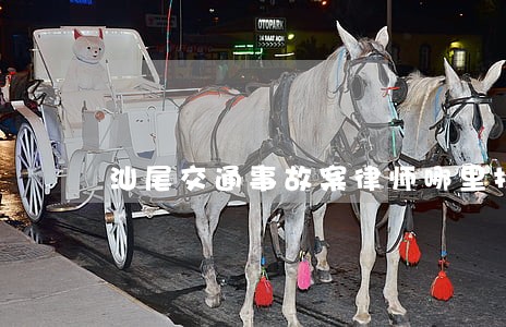 汕尾交通事故案律师哪里找 汕尾交通事故案律师哪里找