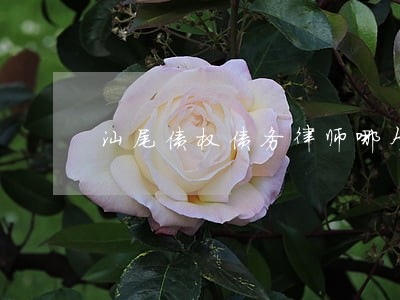 汕尾债权债务律师哪个好 汕尾债权债务律师哪个好