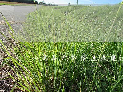 汕尾召开拆除违法建设誓师大会