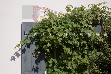 汕尾地区代理债权债务律师 汕尾地区代理债权债务律师