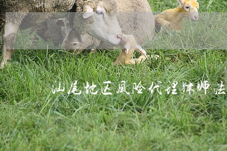 汕尾地区风险代理律师法律咨询 汕尾地区风险代理律师法律咨询