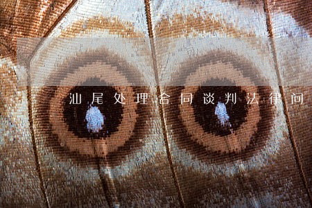 汕尾处理合同谈判法律问题律师 汕尾处理合同谈判法律问题律师