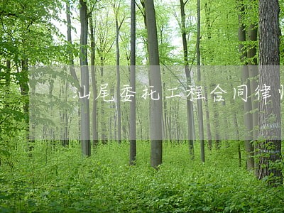 汕尾委托工程合同律师事务所电话 汕尾委托工程合同律师事务所电话