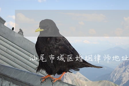 汕尾市城区婚姻律师地址 汕尾市城区婚姻律师地址