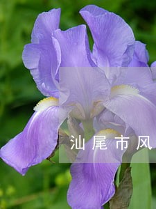 汕尾市风险代理律师收费 汕尾市风险代理律师收费
