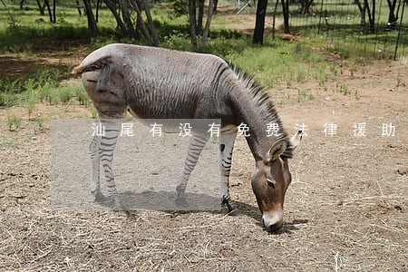 汕尾有没有免费法律援助 汕尾有没有免费法律援助
