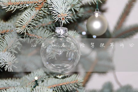 汕尾知名危险驾驶罪诉讼律师 汕尾知名危险驾驶罪诉讼律师