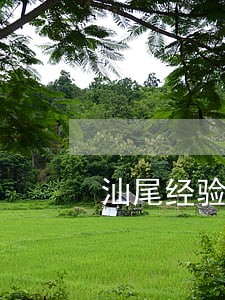 汕尾经验丰富的非法同居律师 汕尾经验丰富的非法同居律师