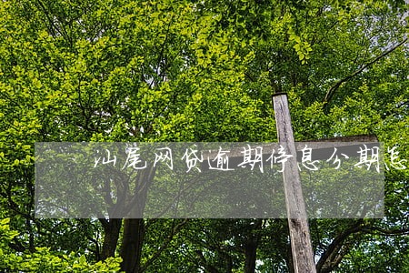 汕尾网贷逾期停息分期怎么协商 汕尾网贷逾期停息分期怎么协商
